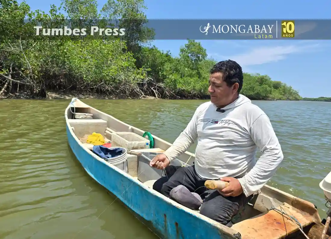 el pescador ancestral Guido Noblecilla en el Santuario Nacional Los Manglares de Tumbes. Foto: Yvette Sierra Praeli