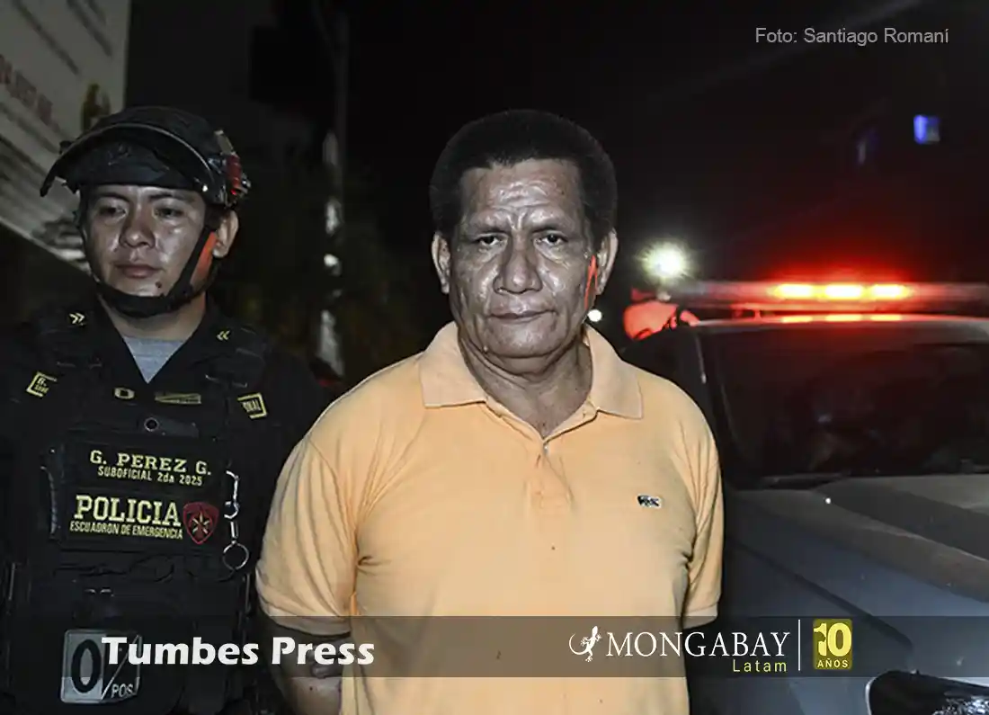 El empresario Hugo Soria Flores tras ser capturado por la Policía Nacional de Perú en Ucayali. Foto: cortesía Santiago Romaní