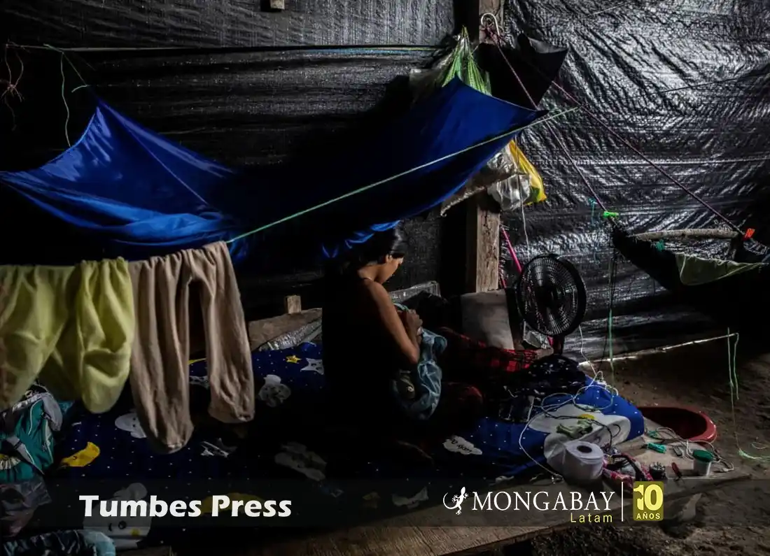 madre de dios mercurio - tumbes press - elizabeth salazar