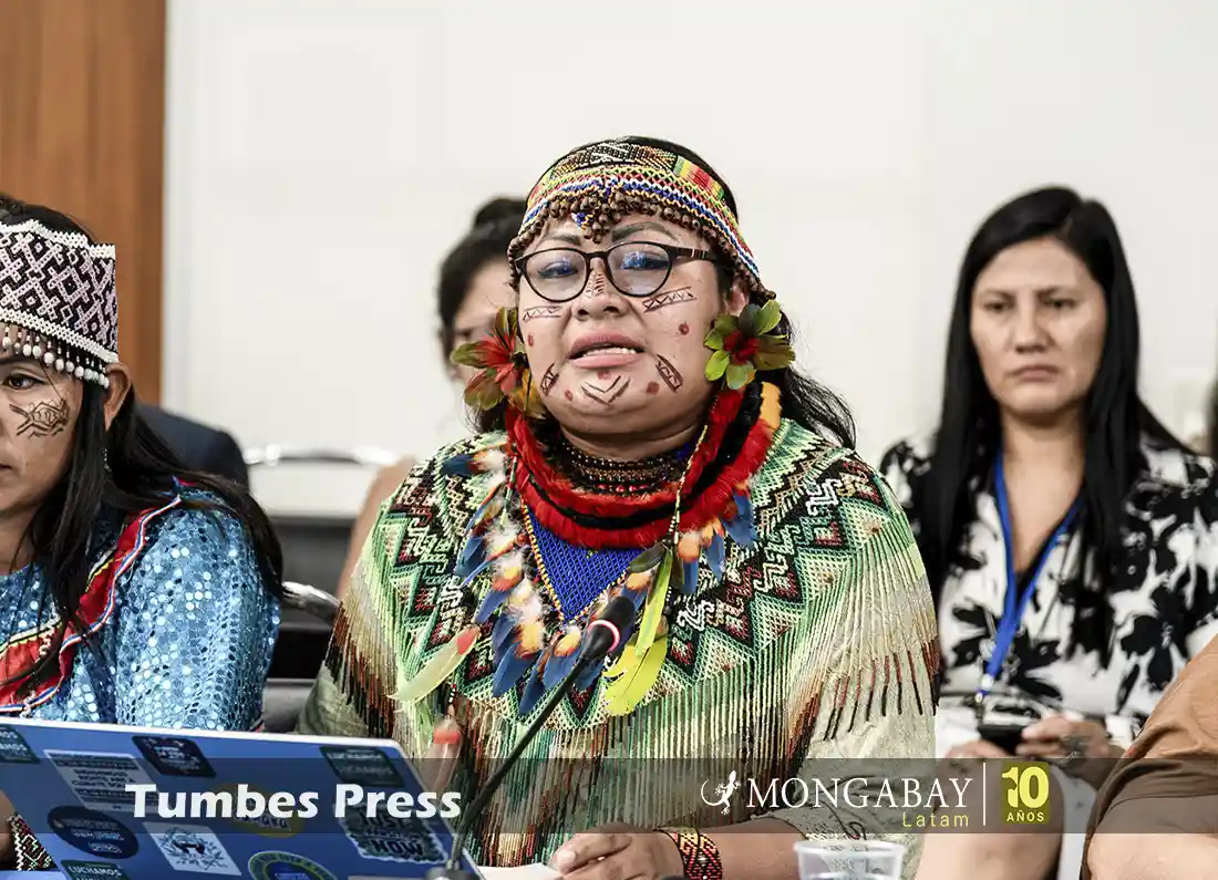 peru olivia bisa deibilidad protección líderes indígenas - tumbes press